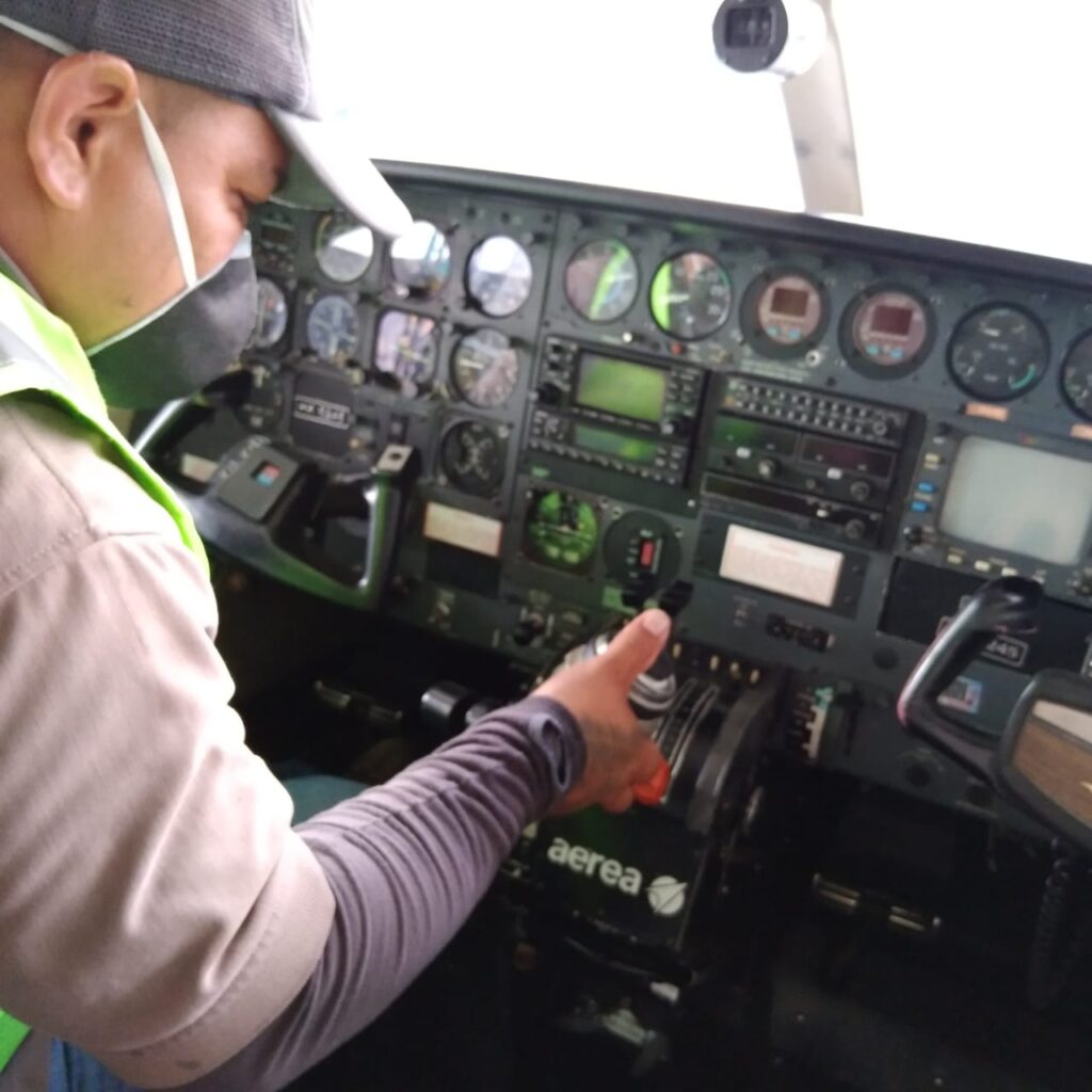 Expertos en control de plagas