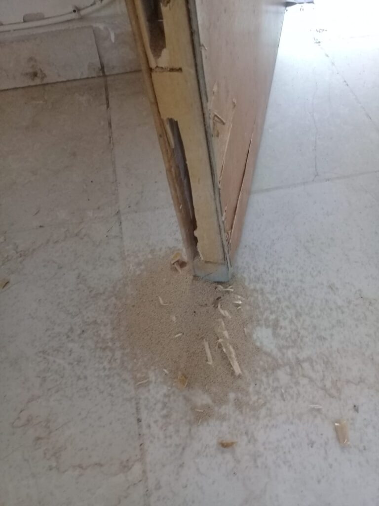 Expertos en control de plagas